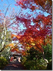 常勝寺