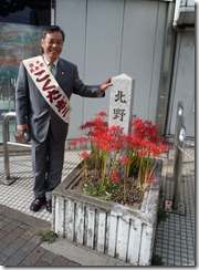 彼岸花と北野廃寺