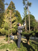 北山台杉選定中の藤田さん