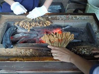 DSCN3664