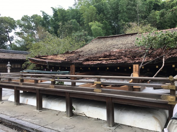 平野神社２